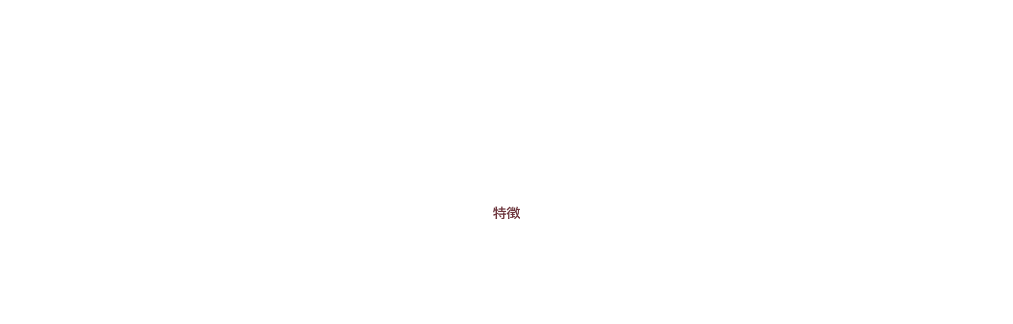 FEATURES