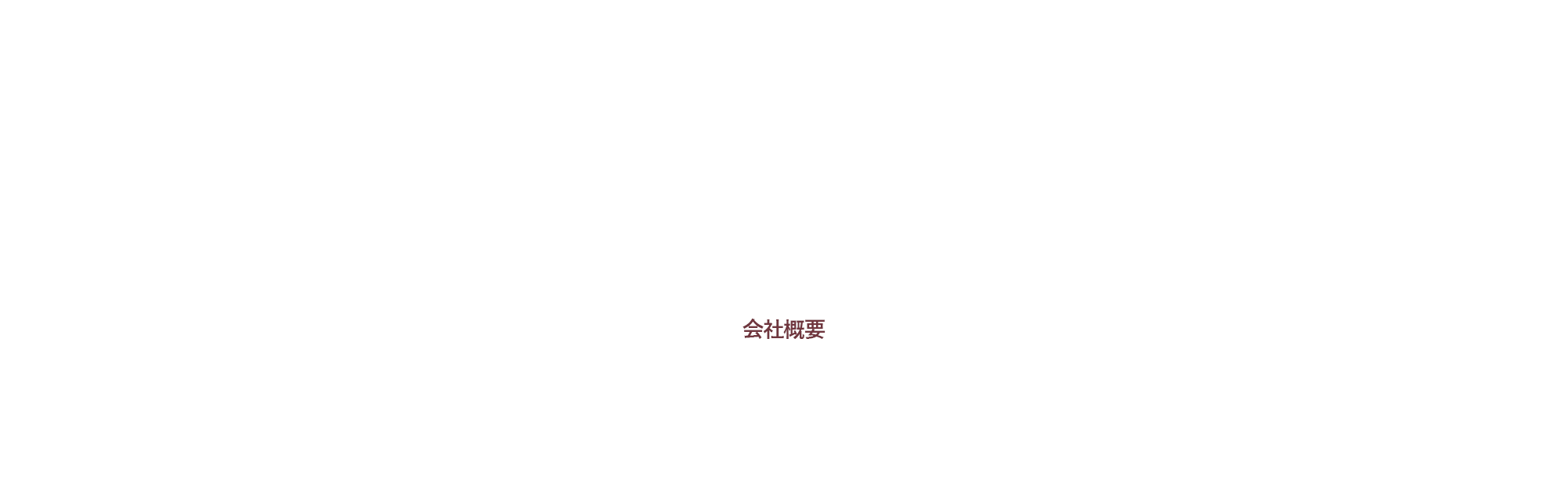 COMPANY